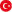 Türkçe